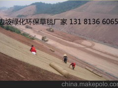 供应生物毯 厂家直销草坪植物纤维毯,麻椰固土毯,抗冲生物毯,草毯