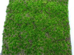 植毛草坪 植物墙 绿色植被 苔藓 工程装饰材料
