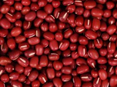 长期供应 优质豆类粮油作物 红小豆（图）价格实惠 量大从优