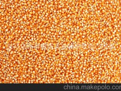 文进粮油 供应优质玉米 特等玉米 干玉米批发 饲料玉米批发
