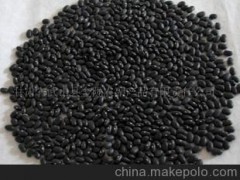 全球供应优质 农副产品 黑芸豆
