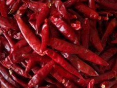 厂家直销农副产品调味香料 优质无杂质青麻原料批发 特价