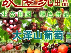 山东特产