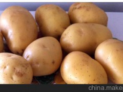 蔬菜 水果