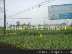 湖北蔬菜诱虫板、湖北药材黄板、湖北烟草诱虫板、黄板