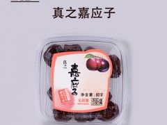 佳业食品厂家直销 休闲开胃零食嘉应子 无添加剂蜜饯 潮汕特产