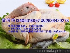 供应鸡脚环个性脚环白条冷鲜家禽脚环