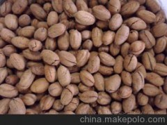 精品美味 供应2012干果、坚果 新南牌碧根果 颗粒饱满中坚果
