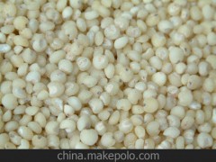 德州高粱米批发,厂家直销优质高粱米,德州东旭粮油