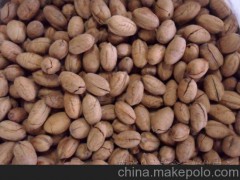 精品供应 供应2012干果坚果 新南牌碧根果 颗粒饱满 中坚果