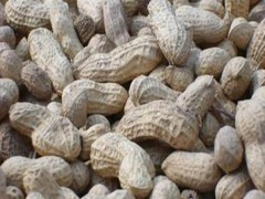 瓜子批发 干果坚果 坚果干果