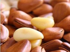 特价特产零食 中粒东北开口松子250g 野生红松子 散装干果坚果