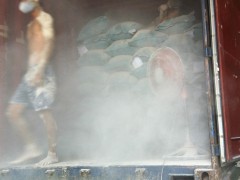 顾客第一 畜禽水产饲料 木薯渣 白色木薯渣 植物性饲料