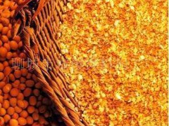 批量供应牲畜家禽饲养专用 高营养豆粕