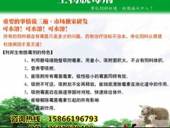 兽药乳酸诺氟原料 养殖好兽药