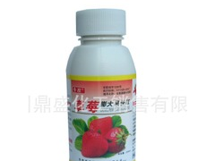 草莓膨大果快红催红快结果大不软果的好农药