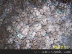大量供应 优质标准出口级大蒜，洋葱等农副产品加工