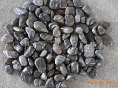 低价大量供应优质2-3CM园林专用黑色雨花石