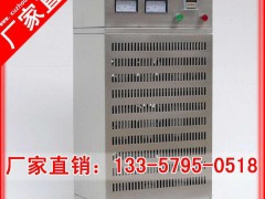 V77 诚信老厂 100G臭氧禽类养殖仪(养殖业最佳病菌防预器械）