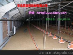供应各种养鸡设备，家禽养殖设备出售家禽养殖设备