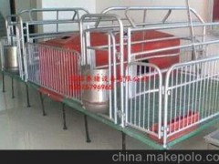供应畜牧养殖机械、养殖设备 母猪产床 自动化养猪设备