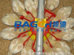 供应肉鸡养殖设备、畜牧养殖设备、邦驰厂家专业生产(图)