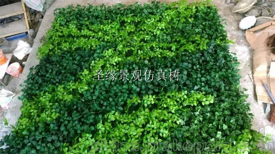 精品草坪厂家生产直销_植物草坪植物