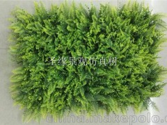 室内草坪批发_室外草坪植物