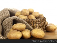 六约蔬菜配送 农产品批发 膳食承包公司