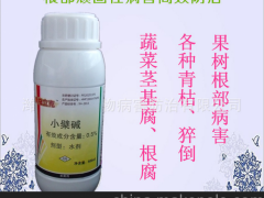 昌江圣女果青枯病特效药 农药