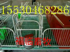 设计安装定位栏限位栏 下料线系统自动配料系统饲料混合机