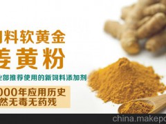 家禽专用饲料添加剂姜黄粉