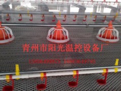 肉鸡畜牧养殖设备 专业水线料线 养鸡专用水线料线 阳光温控