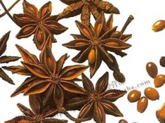 厂家加工 农副产品加工墨粉 打粉 八角茴香 五香