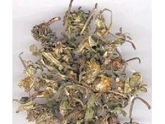 安国中药材中草药中药植物原药材批发蒲公英