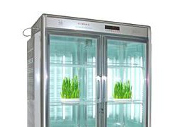 泰宏 珠江牌-LRH-800-G光照培养箱,低预算 高精度冷热恒温设备