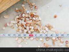 鹅卵石水洗石贝壳打圆水族底砂园林石子