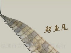 批发供应鳄鱼尾巴尖 特种养殖 优质精选鳄鱼尾尖 产地直销