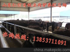 供应河北三河波尔山羊种羊养殖场