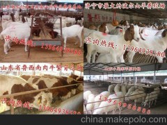 供应河北三河波尔山羊种羊养殖基地