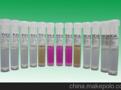 黄牛皮肤细胞BTA-S2细胞