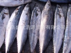供应各种水产品 鲅鱼