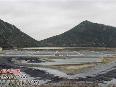 好赛水产品(图) 金华无公害鱼批发