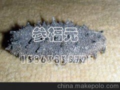 长岛野生乌参 参福元散养野生无盐干海参 35——100头多规格