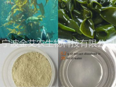 海带多糖 岩藻 昆布海藻