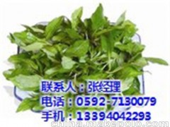 火锅店蔬菜配送、厦门地三鲜(在线咨询)
