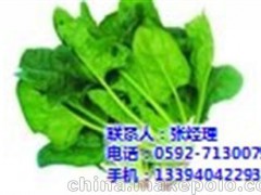 集美蔬菜 厦门地三鲜 企业食堂蔬菜配送
