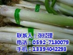 蔬菜专卖店_集美蔬菜_厦门地三鲜