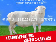 能喂羊吃猪饲料吗