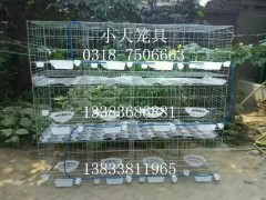 鸡鸽兔笼貉笼鹌鹑笼宠物笼鸽子笼兔子笼养猪网养鸡网鸡笼鸽笼兔笼